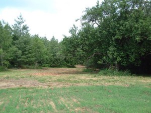 Burks Fork 3