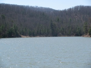 Hogan Lake 3